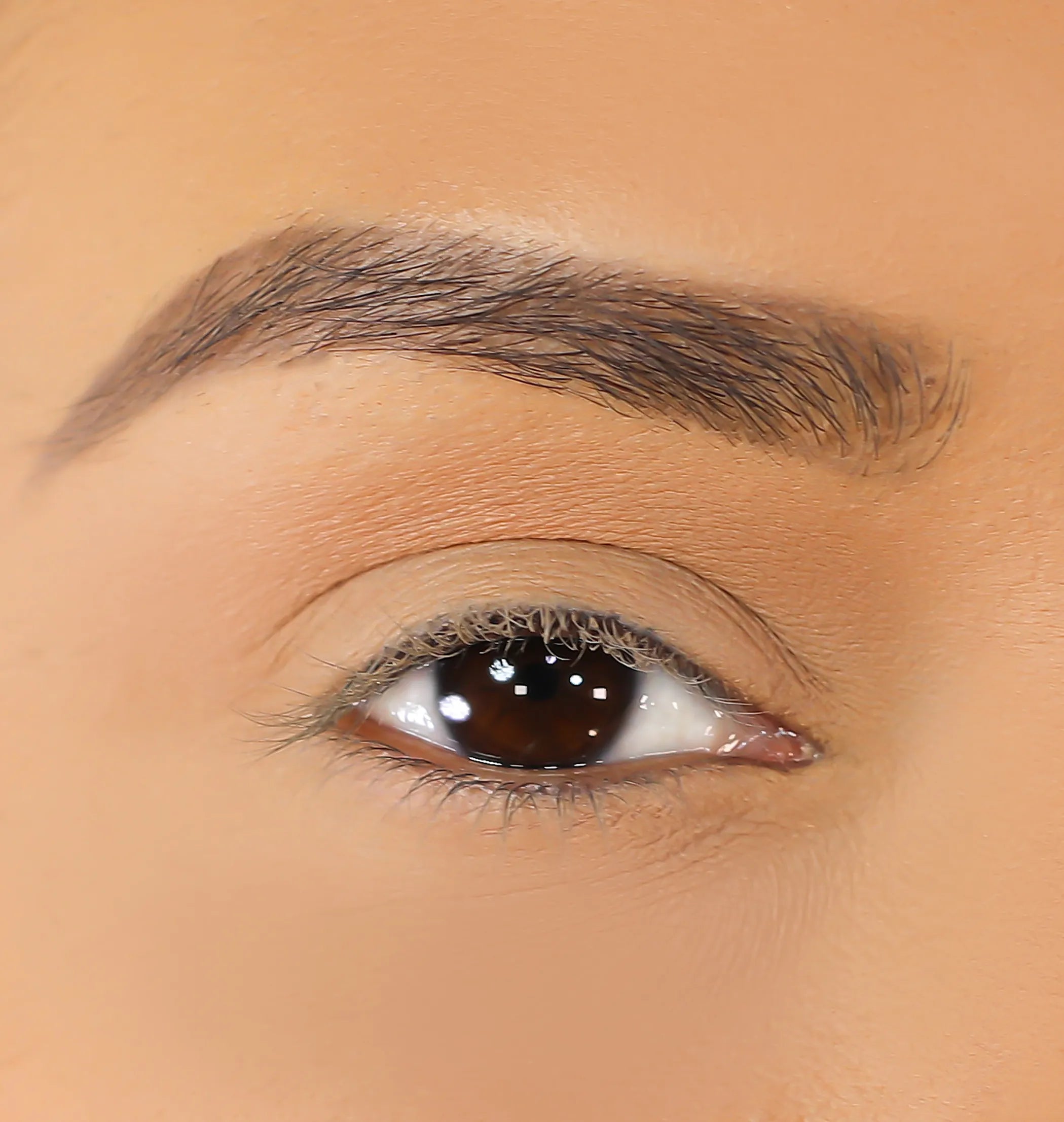3D Mink Eyelashes - Mila