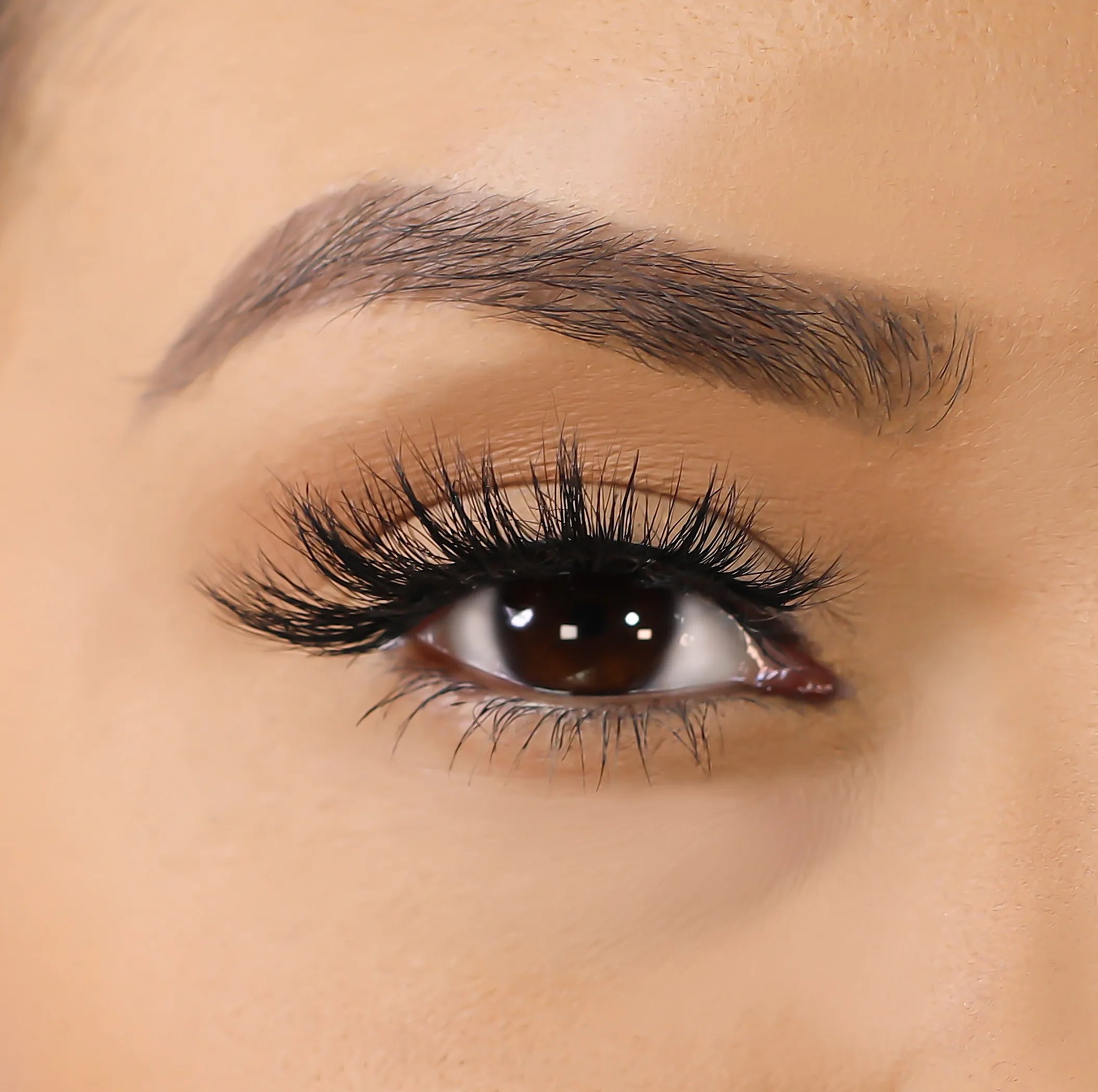 3D Mink Eyelashes - Ellie