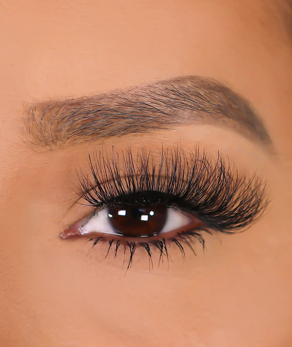 3D Mink Eyelashes - Queen